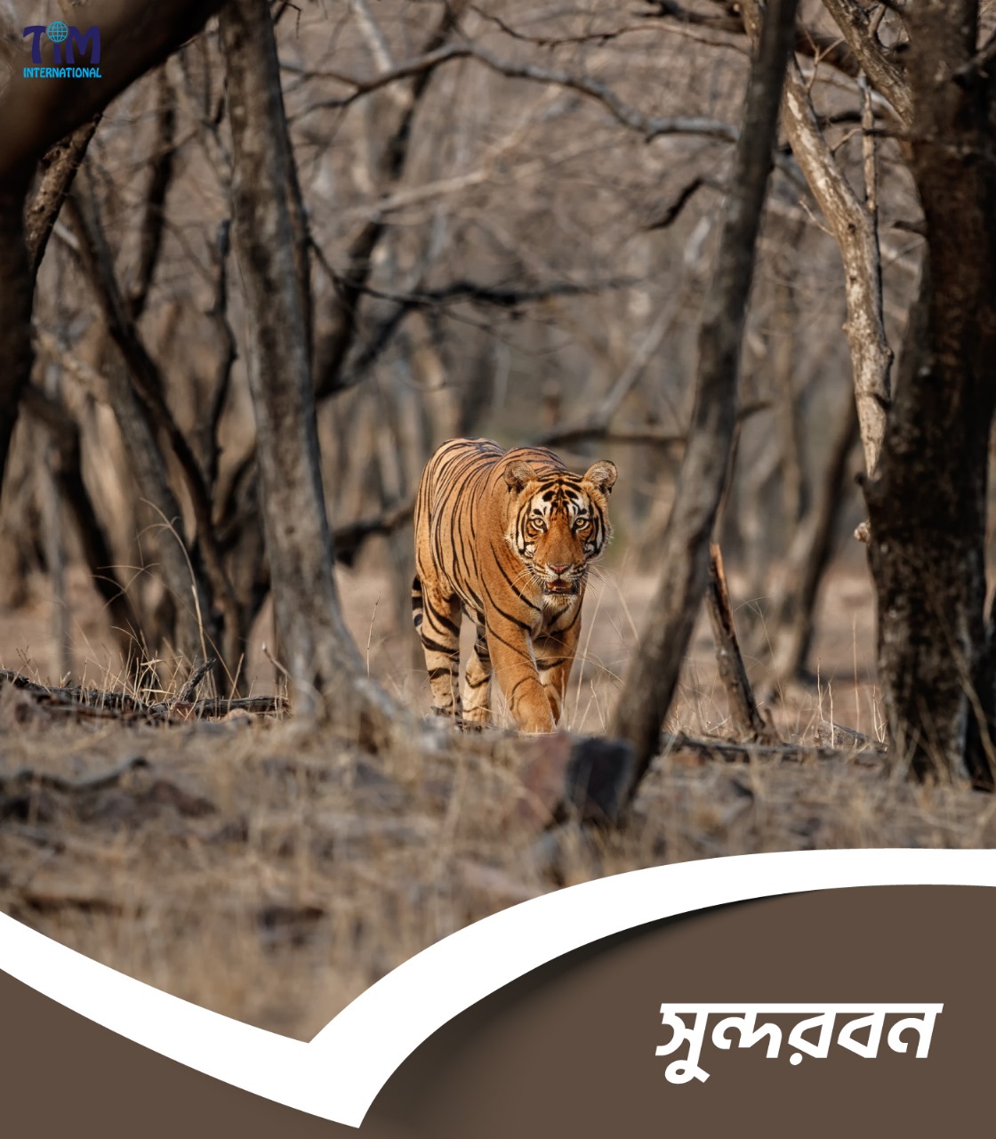Sundarbans Mangrove Adventure